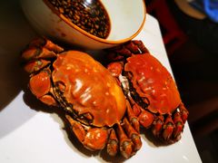 -阿五黄河大鲤鱼(纬三路店)