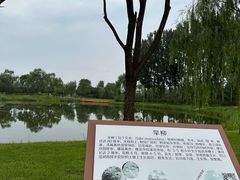 -东郊湿地公园