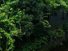 -桂林古东瀑布景区