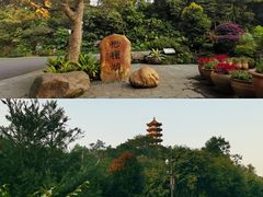 -深圳仙湖植物园