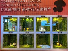 -芸山季·云南野生菌火锅(宝能环球汇店)