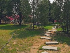 -大兴滨河森林公园