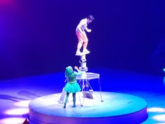 -重庆国际马戏城