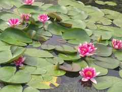 -澹台湖公园
