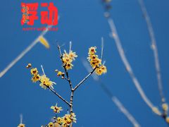 -龙美术馆西岸馆-停车场