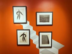 -【朵云轩艺术中心】博洛尼亚插画展·中国巡展·上海站