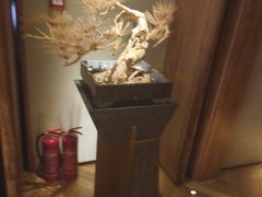 -浅深(北京北四环精品店)