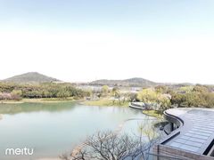 -上海佘山世茂艾美酒店