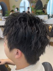 -GANO HAIR 