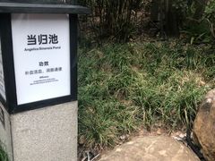 -融汇温泉