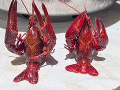 -长沙文和友(海信广场店)