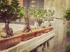 android_upload_pic-云锦成公馆(北大街店)