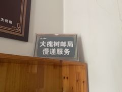 -大槐树寻根祭祖园