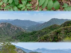 -大岭沟猕猴桃谷风景区