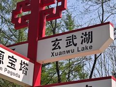 -黄椅山火山森林公园