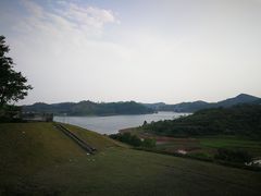 -惠州白鹭湖雅居乐喜来登度假酒店-采悦轩中餐厅