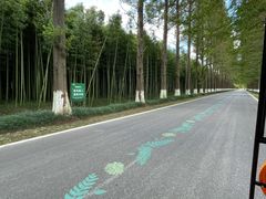 -黄海国家森林公园