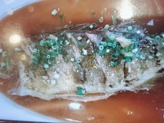 -老山东·山东菜(鲁菜名店)