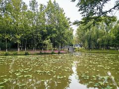 -西安浐灞国家湿地公园