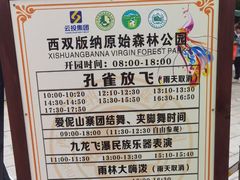 -西双版纳原始森林公园