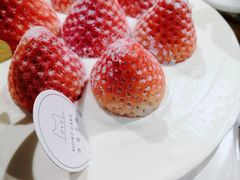 -浮光之丘MontCake生日蛋糕(花牌坊店)