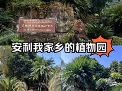 -深圳仙湖植物园