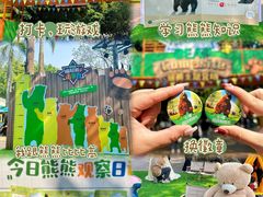 -广州长隆野生动物世界