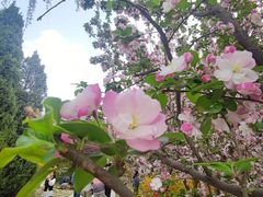 -元大都城垣遗址公园