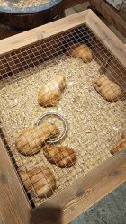 -酷嗒动物文化乐园(cutezoo西溪乐天城店)