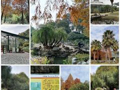 -中国科学院华南植物园