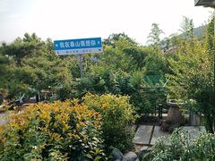 -蘇河湾·新鲁菜·泰山宴(泰山店)