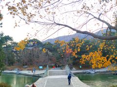 -香山公园