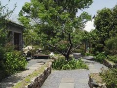 -田园东方蜜桃村的田野营地