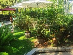 -BOCATA 西班牙餐厅(三里屯店)