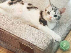 -狗道宠物(常熟印象城店)