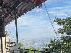 -林中乐辣子鸡(歌乐山总店)