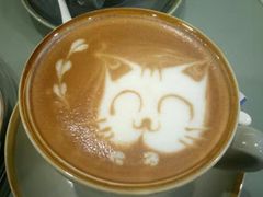 -飞行喵MR PILOT|猫舍·猫咖(静安大融城店)