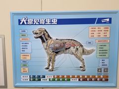 -美联众合爱康动物医院•复杂内科•肿瘤科•牙科•腔镜诊疗中心