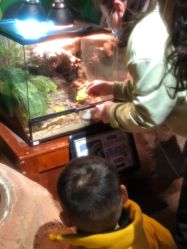 -酷嗒动物文化乐园(cutezoo西溪乐天城店)