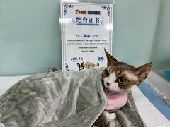 -达爱动物医院·犬猫分区·CT·复杂眼科(远洋山水分院)