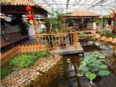 -上海都市菜园