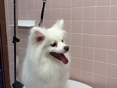 -FAELING PETS美天灵宠物(富力广场店)