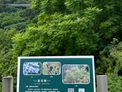 -福道