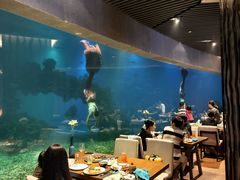 -海棠湾洲际-涛·海底餐厅·美人鱼·自助餐·海底隧道