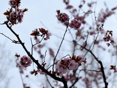 -花开海上生态园