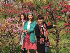 -南汇桃花村
