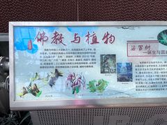 -国家植物园南园