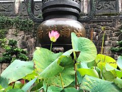 -普陀山风景名胜区-法雨禅寺