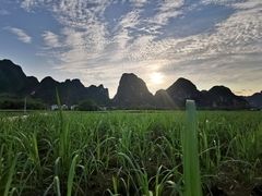 -明仕田园