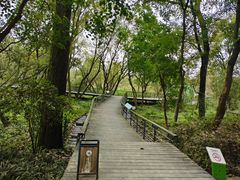 -西湖风景区-江洋畈生态公园